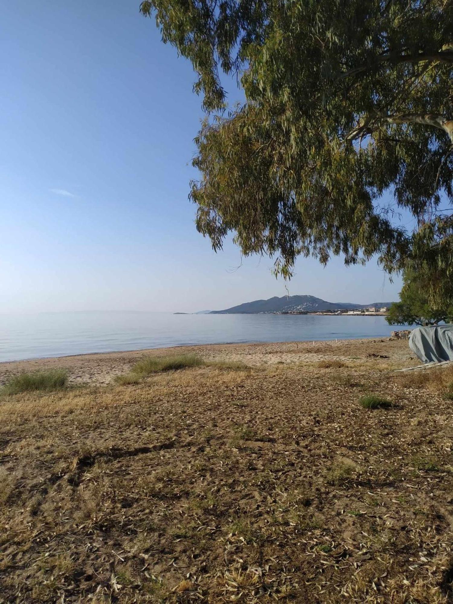 Artemis Central Home Dış mekan fotoğraf
